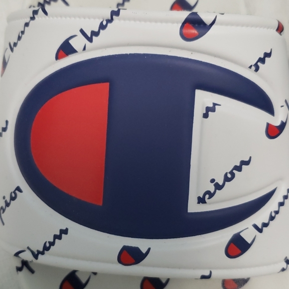 Champion Slides - Picture 2 of 3